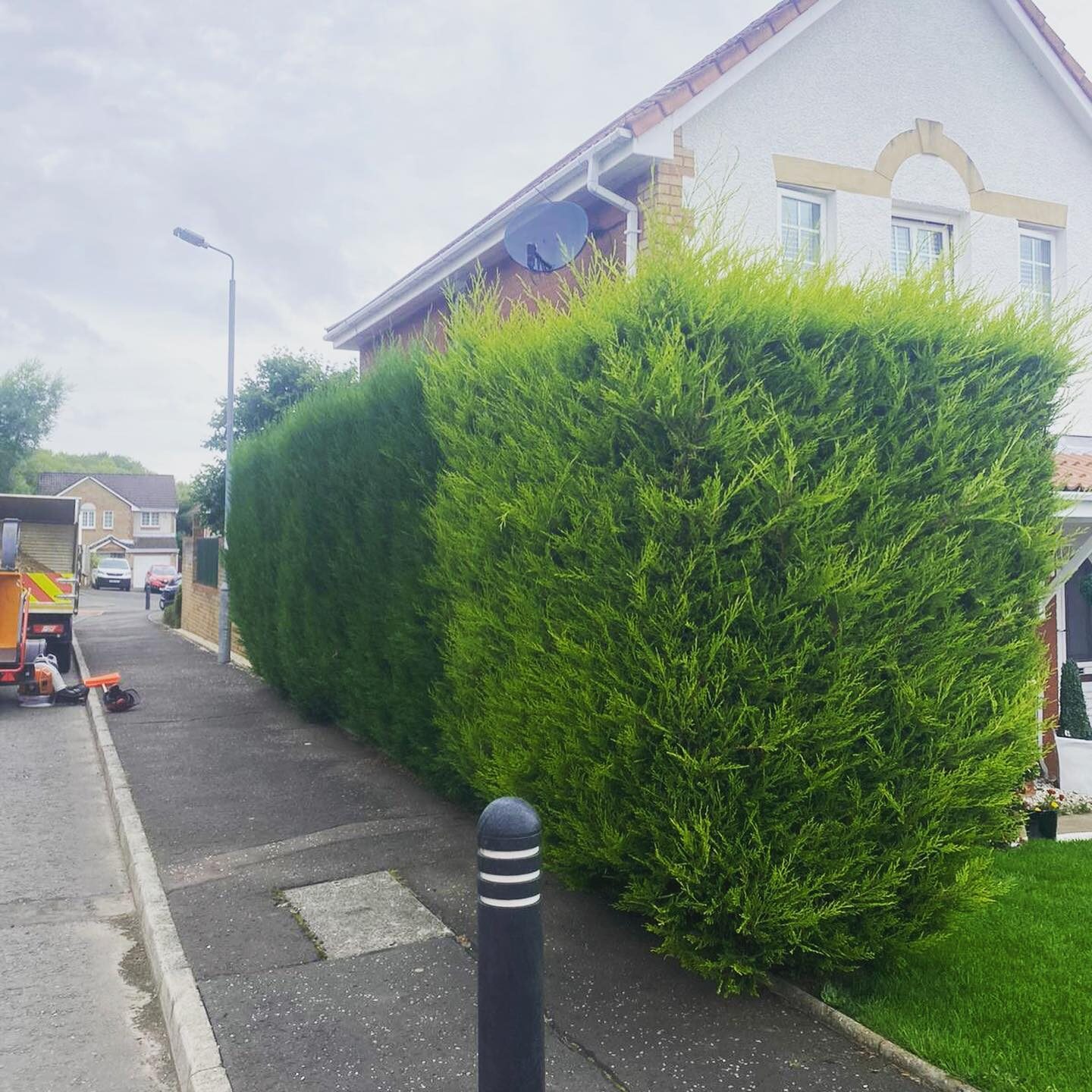 A tall conifer hedge running along the pavement outside a house, overhanging the footpath
