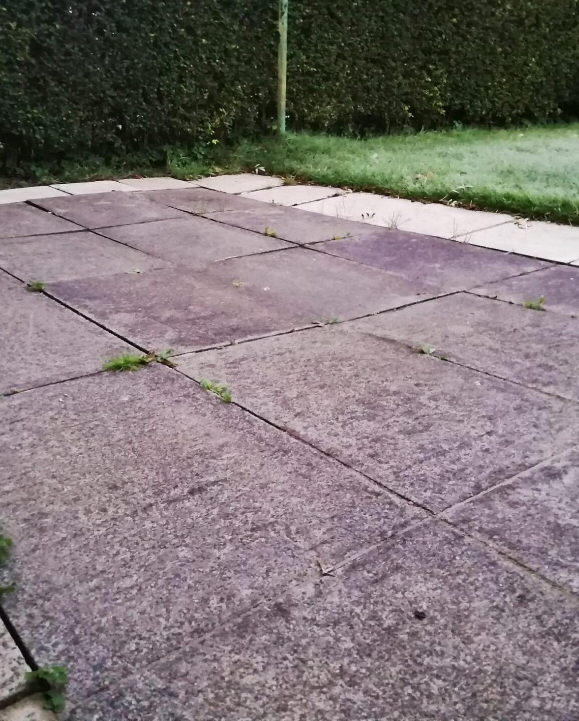 The finished patio relaid flat and level against the lawn