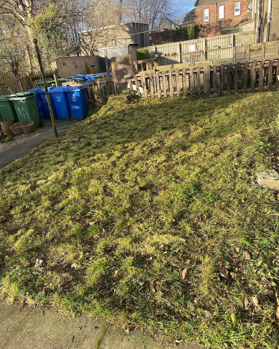 The same back court cut right down and cleared