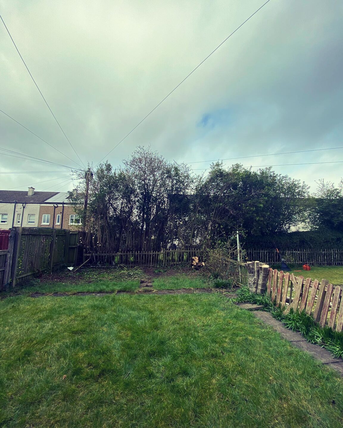 The same view with the hedge cut back to the fence line, the lawn reaching the boundary and the buildings behind now visible